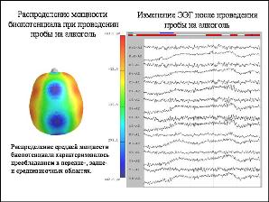 Дипломная работа: Клинико-социальные аспекты формирования и профилактики зависимости от психоактивных веществ у подростков